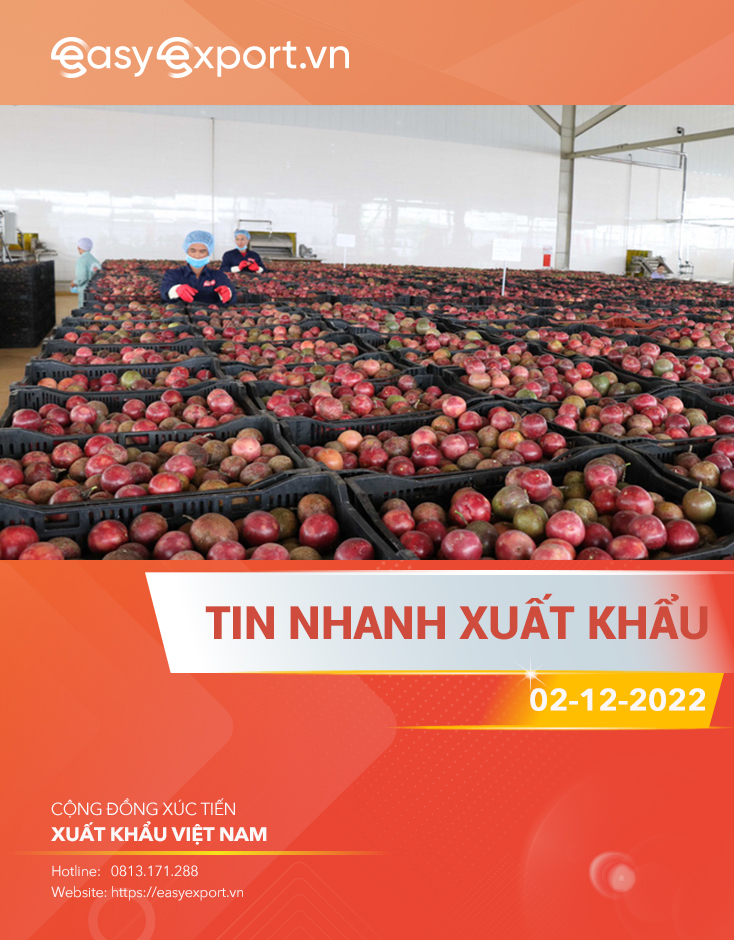 Tin nhanh xuất khẩu Việt Nam 02/12