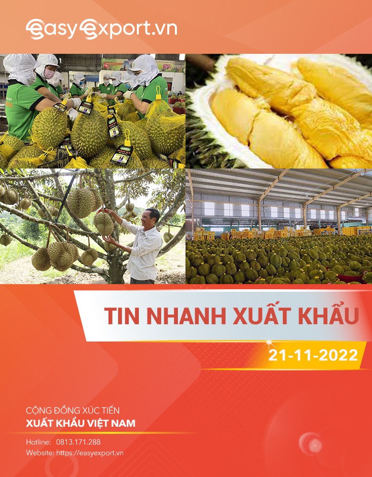 Tin nhanh xuất khẩu ngày 21/11/2022