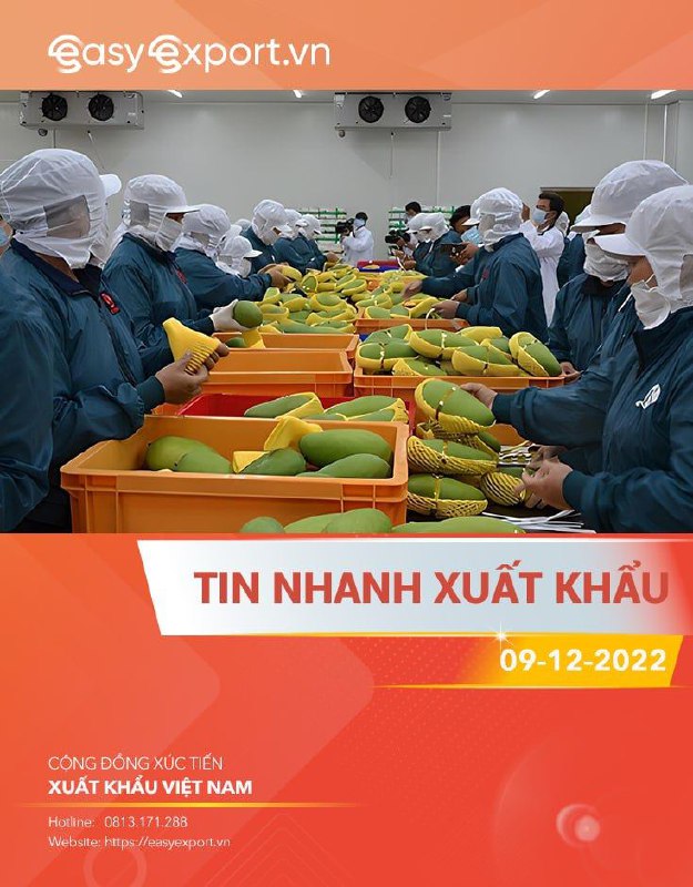 TIN NHANH XUẤT KHẨU VIỆT NAM NGÀY 09/12