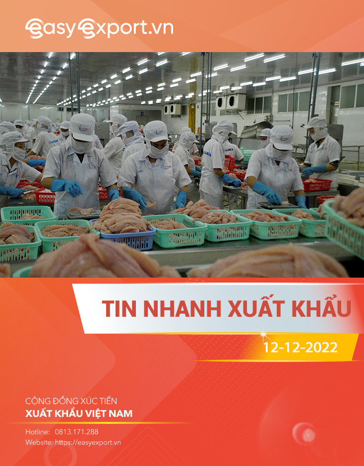 TIN NHANH XUẤT KHẨU VIỆT NAM NGÀY 12/12