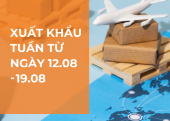 Tin nhanh xuất khẩu tuần 3 tháng 8: Xuất khẩu TP.Hồ Chí Minh dẫn đầu xuất khẩu cả nước