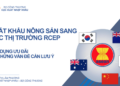 Xuất khẩu nông sản sang khối RCEP