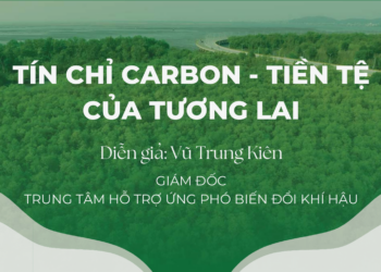 Lợi ích của tín Chỉ Carbon