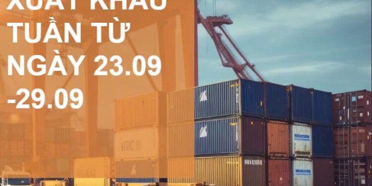 Tin nhanh xuất khẩu tuần 4 tháng 9/2024: Giá xuất khẩu hồ tiêu tháng 9 đạt mức kỷ lục 6.239 USD/tấn