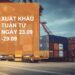 Tin nhanh xuất khẩu tuần 4 tháng 9/2024: Giá xuất khẩu hồ tiêu tháng 9 đạt mức kỷ lục 6.239 USD/tấn
