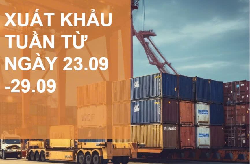 Tin nhanh xuất khẩu tuần 4 tháng 9/2024: Giá xuất khẩu hồ tiêu tháng 9 đạt mức kỷ lục 6.239 USD/tấn