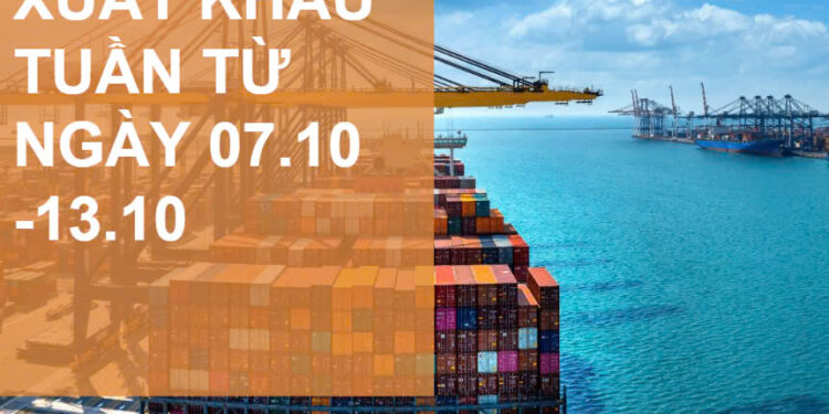 Tin nhanh xuất khẩu tuần 2 tháng 10/2024: Hoa Kỳ đang là thị trường xuất siêu lớn nhất của Việt Nam
